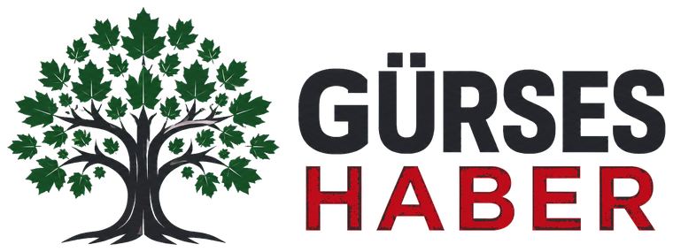 Gürses Haber — çınar ağacı logosu